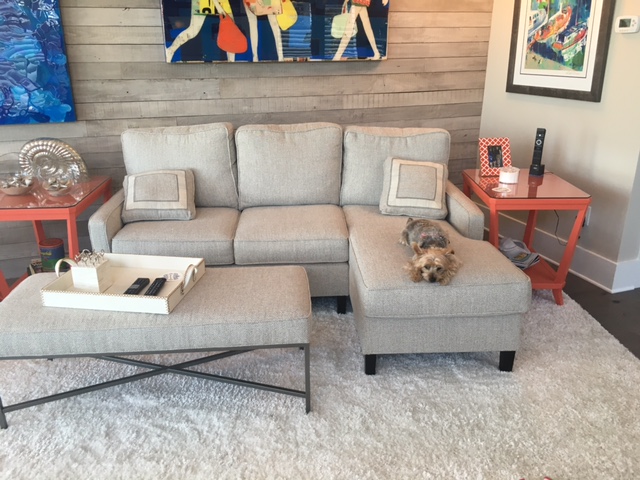 a living room with a dog sitting on the couch