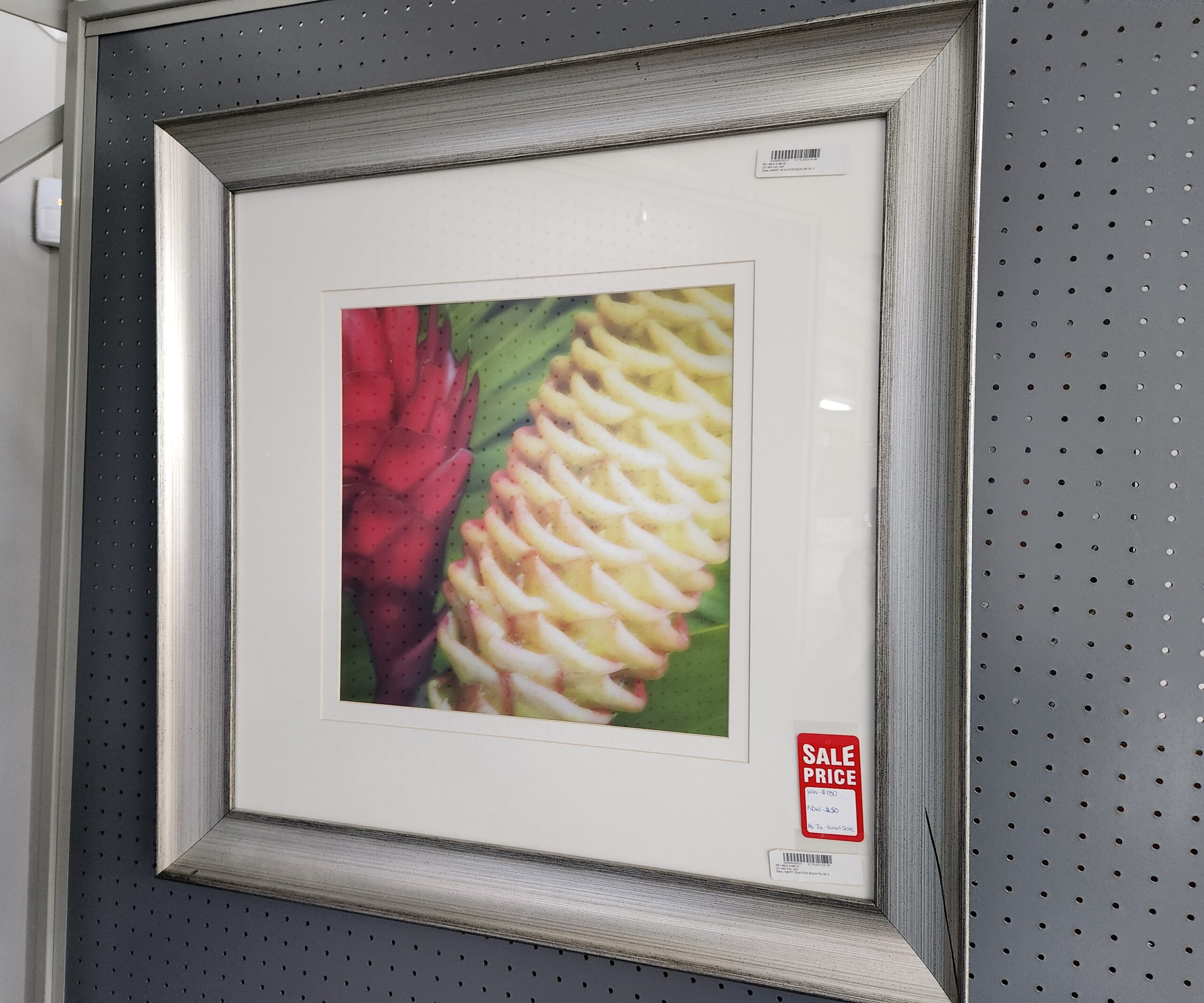 a picture of a flower in a silver frame