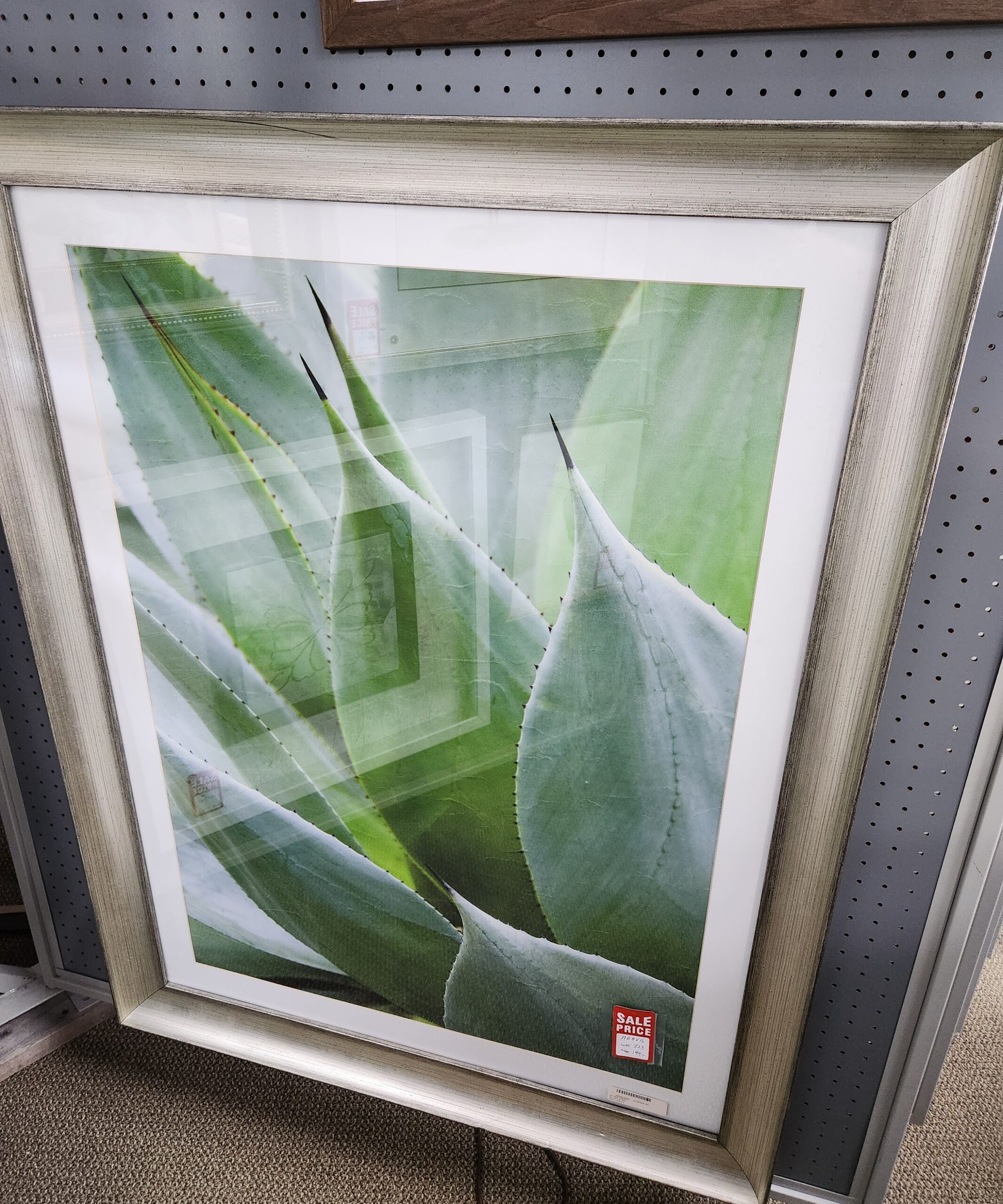 a framed photograph of a leaf on a wall