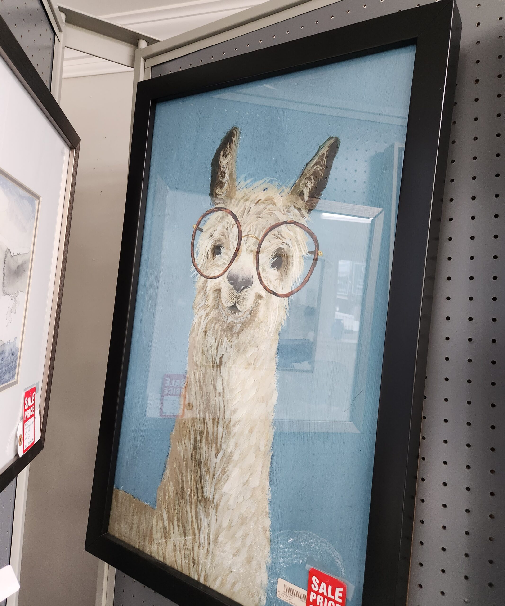 a framed photo of a dog wearing glasses
