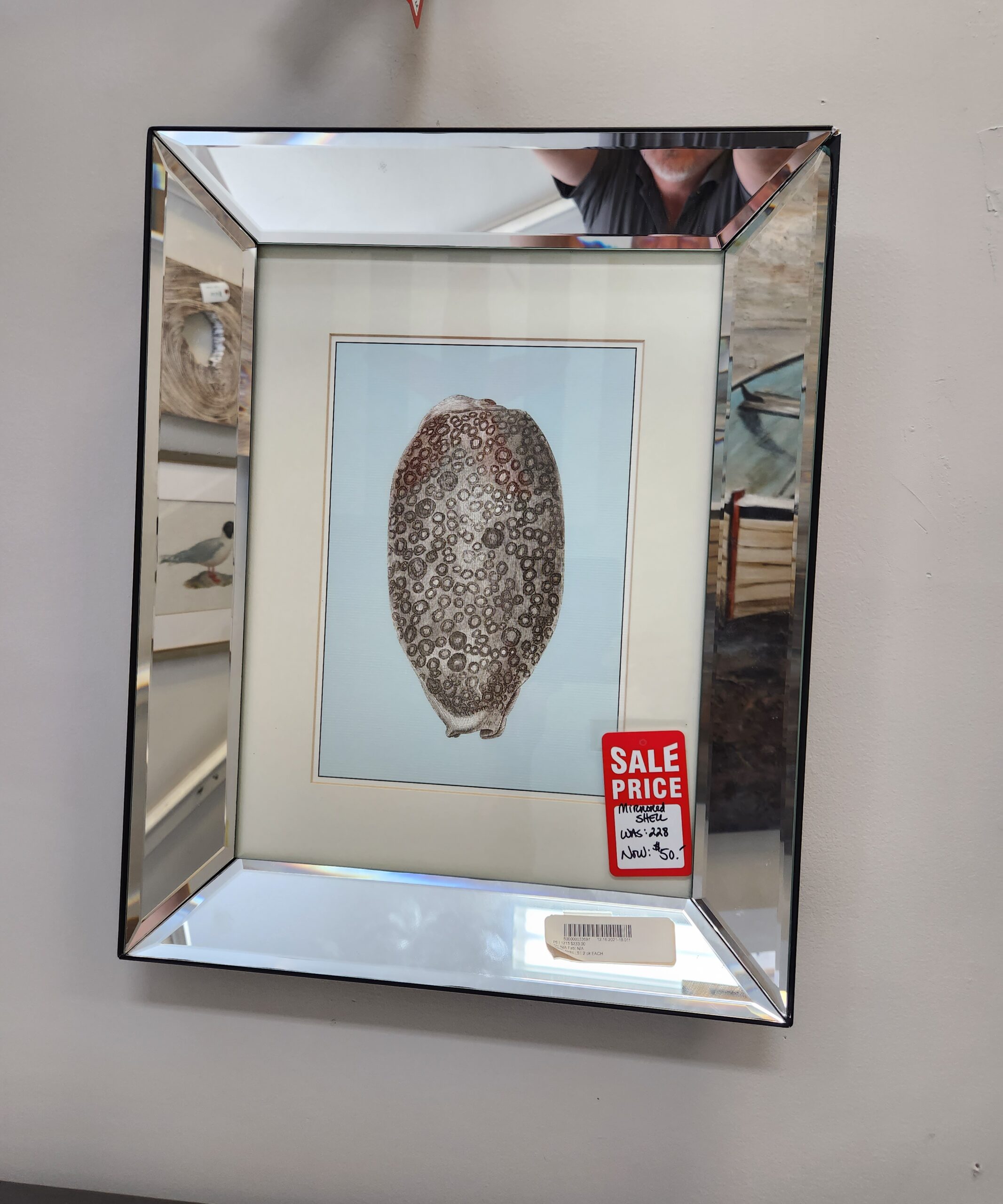 a mirror hanging on the wall with a shell in it